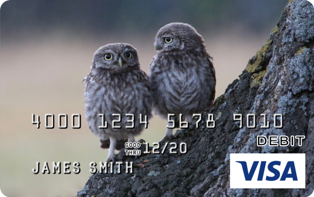 Owl Design CARD.com Prepaid Visa® Card | CARD.com