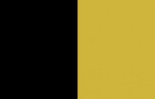 Black and Gold Design CARD.com Prepaid Visa® Card | CARD.com