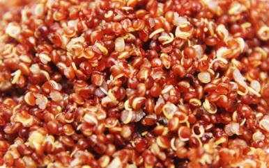 Quinoa