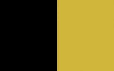 Black and Gold