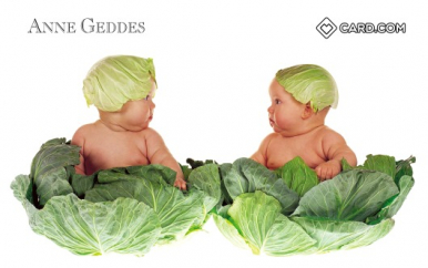 Anne Geddes