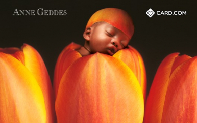 Anne Geddes