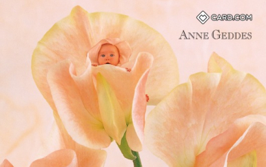 Anne Geddes