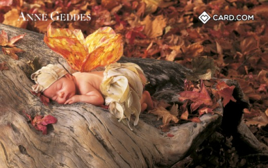 Anne Geddes