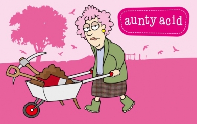 Aunty Acid