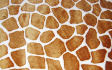 Giraffe Print