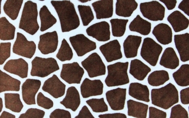 Giraffe Print