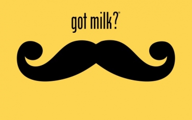 Got Milk?