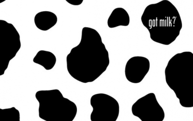 Got Milk?