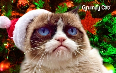 Grumpy Cat