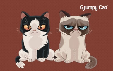 Grumpy Cat