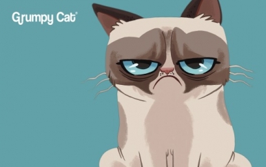 Grumpy Cat