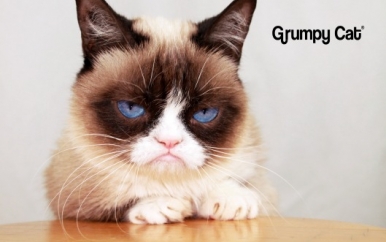 Grumpy Cat