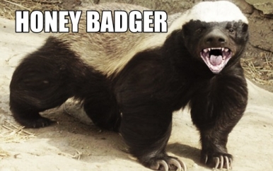 Honey Badger