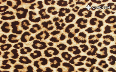 Leopard Print