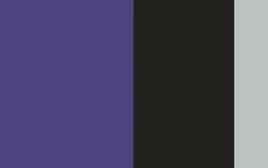 Hockey Team Colors