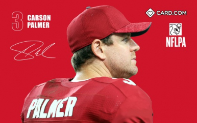 Carson Palmer