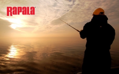 Rapala
