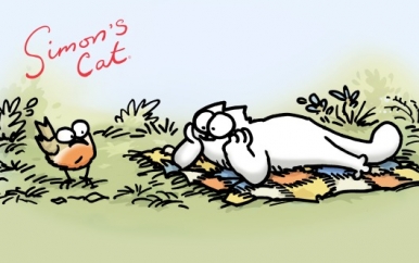 Simon's Cat