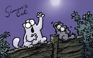 Simon's Cat