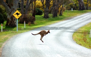 Travel Australia