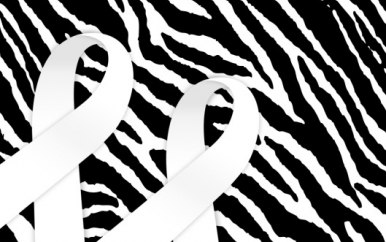 Zebra Print Ribbon